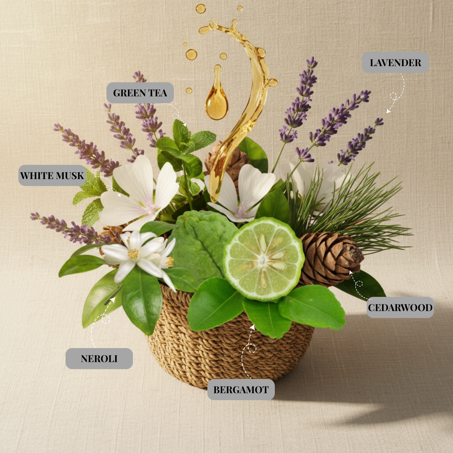 Citrus Alchemy candle fragrance blend with bergamot, neroli, lavender, cedarwood
