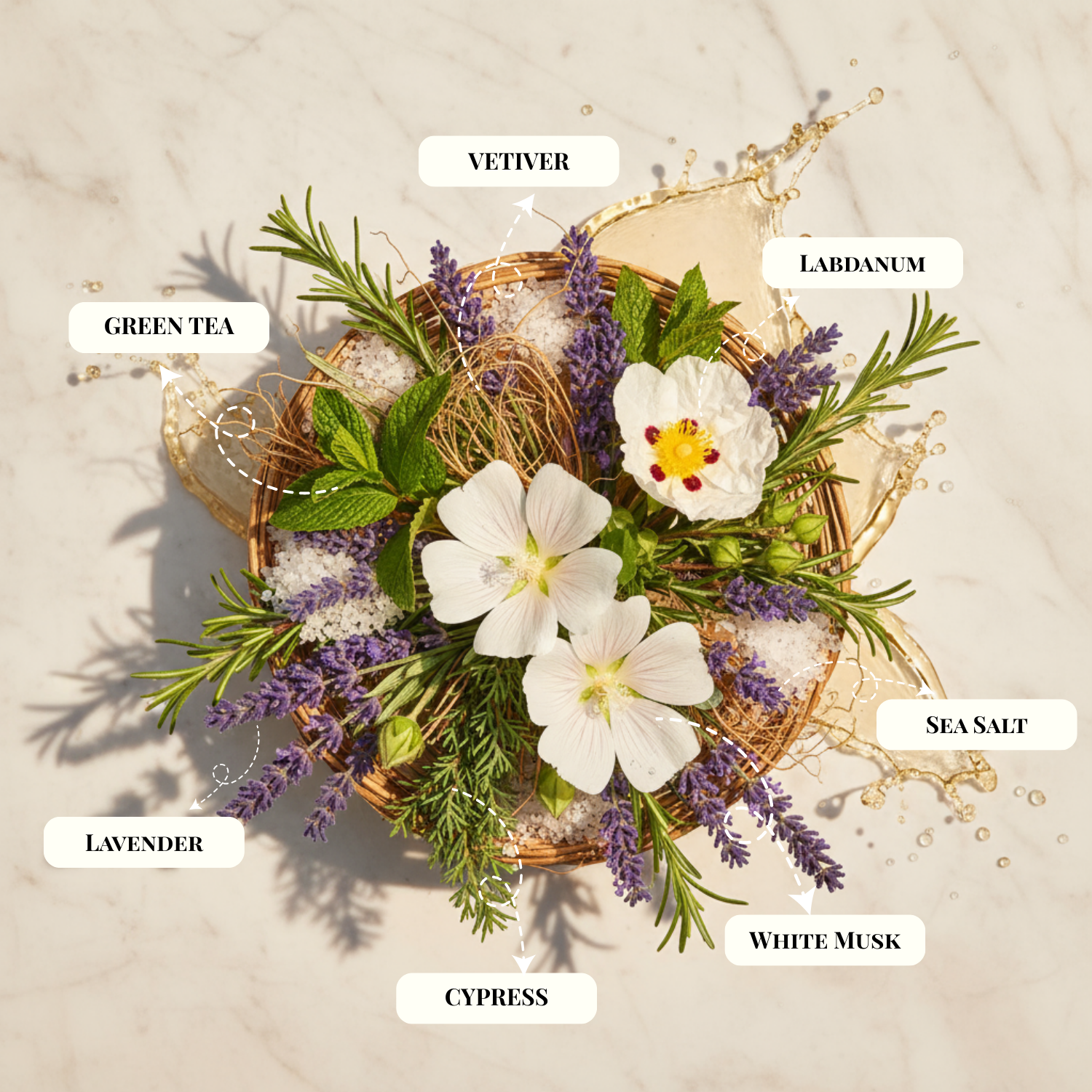 Verdant Luxe candle fragrance notes with green tea, cypress, vetiver